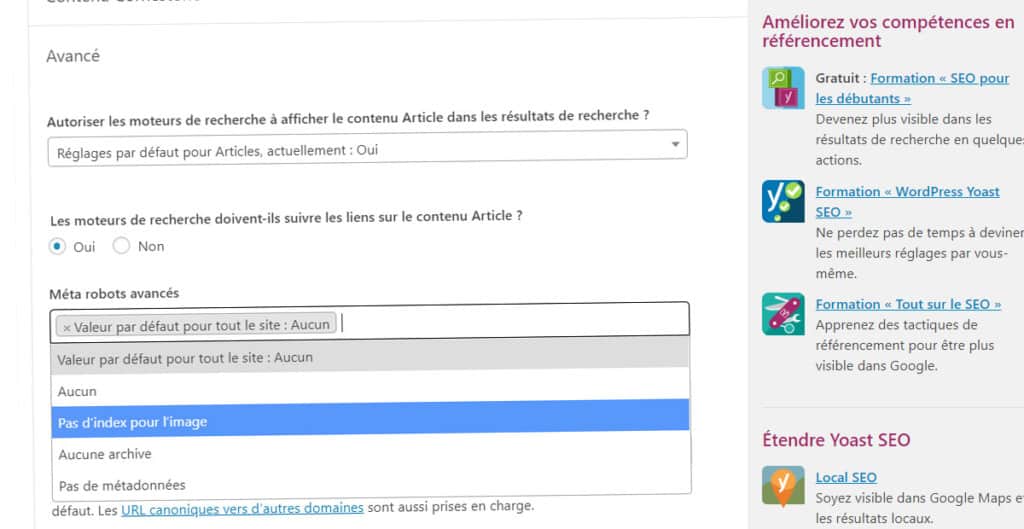 YOAST : guide et tutoriel pour le configurer 4 pub yoast