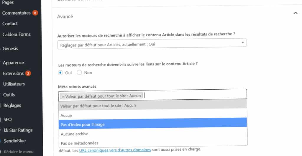 YOAST : guide et tutoriel pour le configurer 6 yoast meta donnees