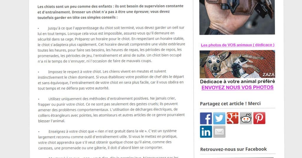texte d'origine