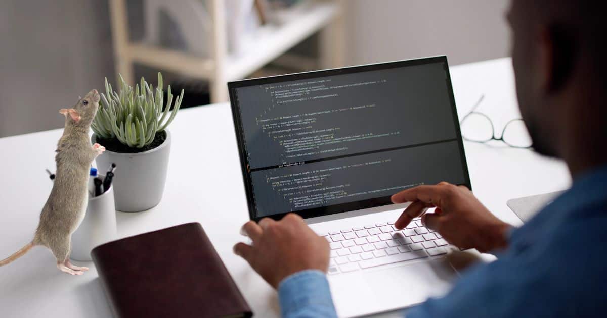 Comment vendre des liens sans avoir de site